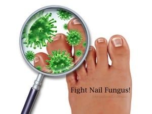 Fungal maginifying glass