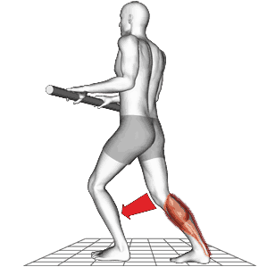 Cooling down and Stretching for Netball - 2