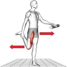 Cooling down and Stretching for Netball - 6